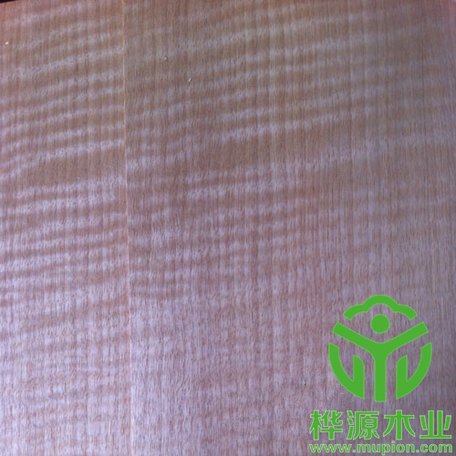 红影木皮0.5mm品质好，安利格影木皮优质供应